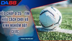 Kèo Chấp 0.25 – Tìm Hiểu Cách Chơi Và Kinh Nghiệm Đặt Cược