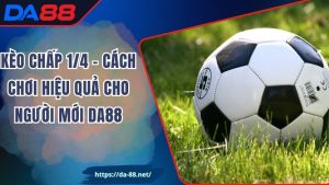 Kèo Chấp 1/4 - Cách Chơi Hiệu Quả Cho Người Mới DA88