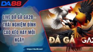 Live Đá Gà GA28 - Trải Nghiệm Đỉnh Cao Kèo Hay Mỗi Ngày