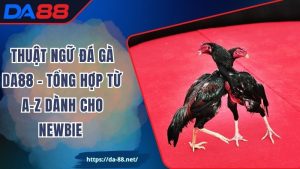 Thuật Ngữ Đá Gà DA88 – Tổng Hợp Từ A-Z Dành Cho Newbie